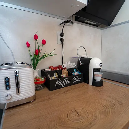 Yavi's Велико Търново